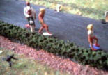 Skateboarder