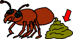 Ant pile