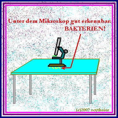 Bakterien unter dem Mikroskop untendrunter