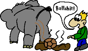 Ballshit