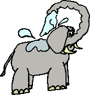 Elefant mit Rüsseldusche
