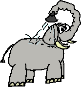 Elefant mit Rüsselduschkopf