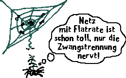 Spinnternet mit Zwangstrennung