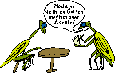 Im Gottesanbeterinnen-Restaurant