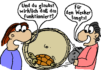 Schildkrtenlaufrad