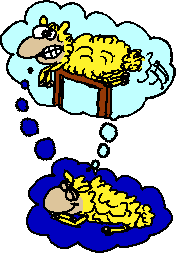 Wenn Schafe träumen