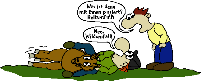 Reitumfall? Nein, Wildumfall!