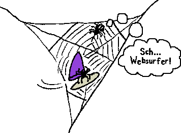 Spiderwebsurfer
