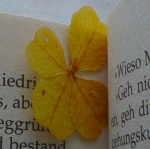 Kleeblatt